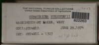 Image Associated With the Occurence